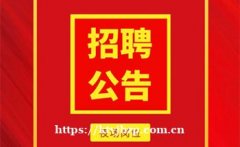 网站最新公告须知