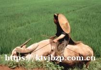 合肥高端ktv招聘女模特公司-哥带队有保障