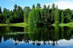 合肥高端ktv招聘dj信息-致富之路请签收