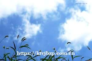 合肥夜场ktv招聘—{首席国际}华强招聘商务模特