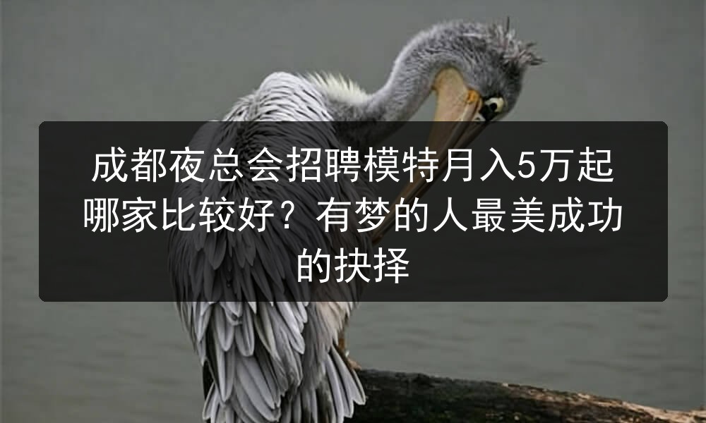 成都夜总会招聘模特月入5万起哪家比较好？有梦的人最美成功的抉择图片