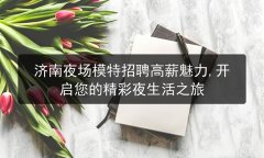 济南夜场模特招聘高薪魅力,开启您的精彩夜生活之旅图片预览