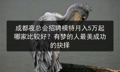 成都夜总会招聘模特月入5万起哪家比较好？有梦的人最美成功的抉择图片预览