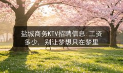 盐城商务KTV招聘信息:工资多少, 别让梦想只在梦里图片预览