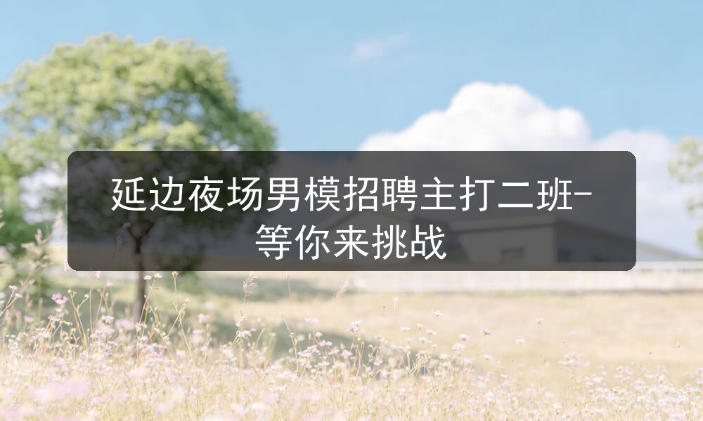 延边夜场男模招聘主打二班-等你来挑战图片