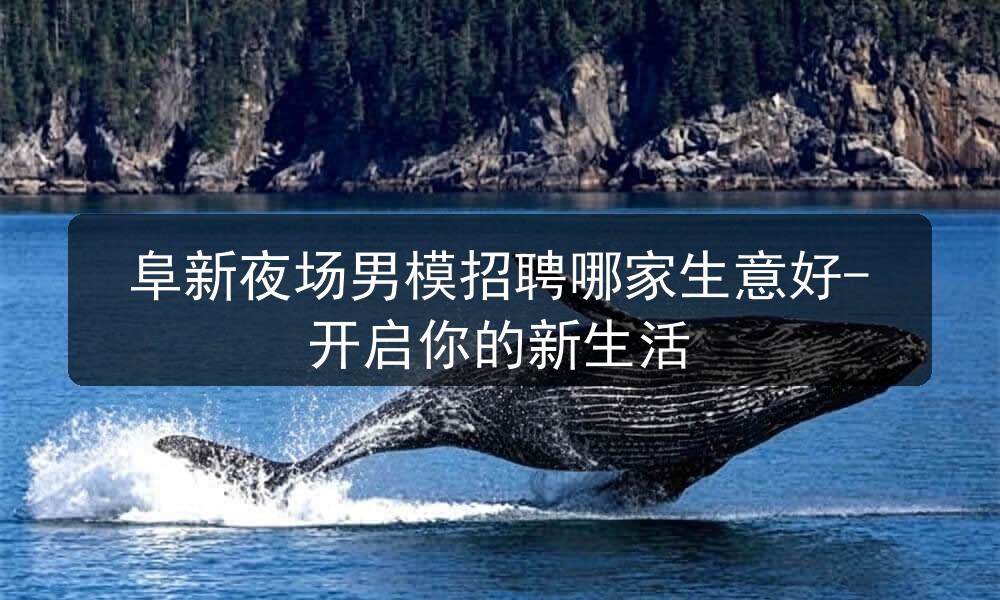 阜新夜场男模招聘哪家生意好-开启你的新生活图片