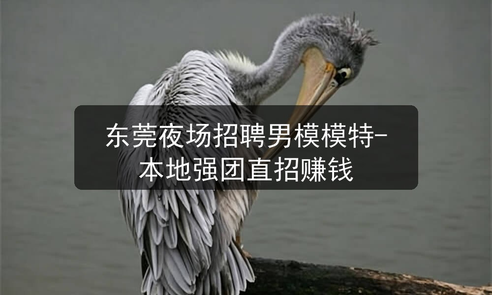 东莞夜场招聘男模模特-本地强团直招赚钱图片