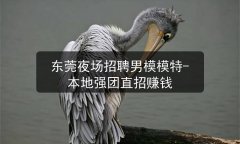 东莞夜场招聘男模模特-本地强团直招赚钱图片预览