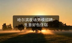 哈尔滨夜场男模招聘-生意好包住宿图片预览