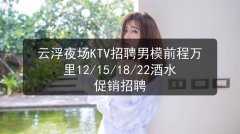 云浮夜场KTV招聘男模前程万里12/15/18/22酒水促销招聘图片预览