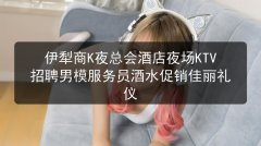 伊犁商K夜总会酒店夜场KTV招聘男模服务员酒水促销佳丽礼仪图片预览